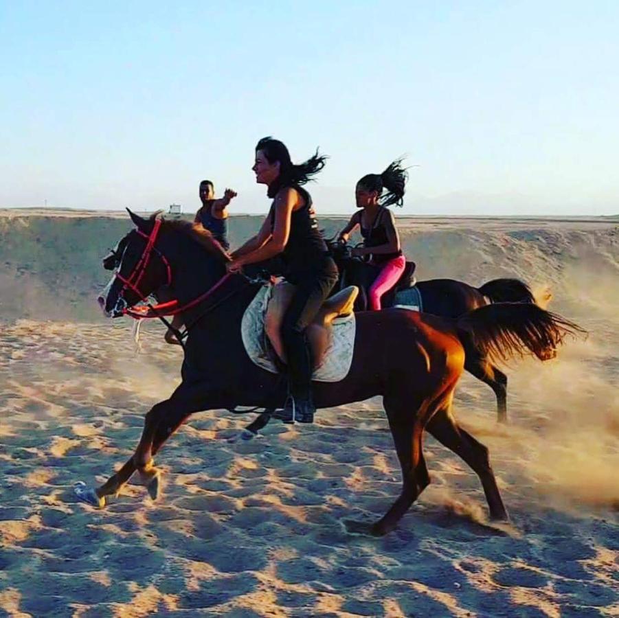 Happy Bedouin House Petra Bed & Breakfast Al Hayy Ngoại thất bức ảnh